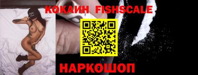 дживик Кингисепп