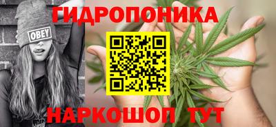 дживик Кингисепп