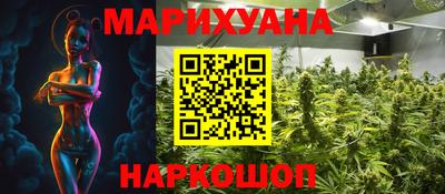 дживик Кингисепп