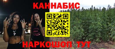 дживик Кингисепп